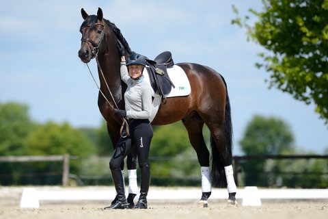 Franz Seite Franz Seite