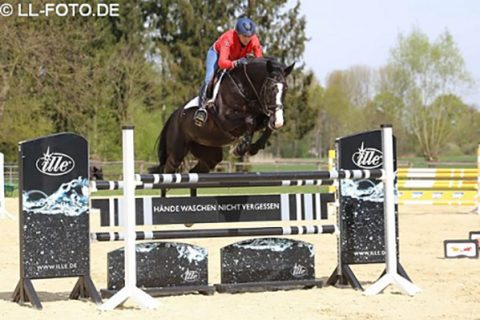 parmi-ille-ll-foto-de