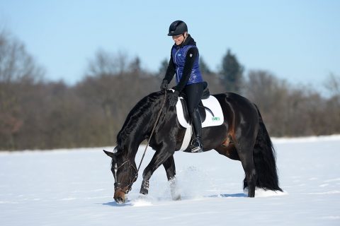 FreudentÑnzer Seite